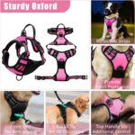No Pull Dog Harness Adjustable Collar & Leash Set - Dog Halter Harnesses Collaps... - Image 4