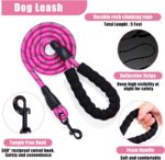 No Pull Dog Harness Adjustable Collar & Leash Set - Dog Halter Harnesses Collaps... - Image 5