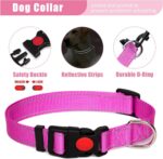 No Pull Dog Harness Adjustable Collar & Leash Set - Dog Halter Harnesses Collaps... - Image 6
