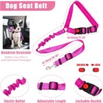 No Pull Dog Harness Adjustable Collar & Leash Set - Dog Halter Harnesses Collaps... - Image 7