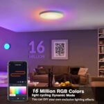 12 Inch WiFi Smart RGB LED Flush Mount Ceiling Light (2 Pack) | 24W 2640LM, RGB ... - Image 7