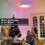 12 Inch WiFi Smart RGB LED Flush Mount Ceiling Light (2 Pack) | 24W 2640LM, RGB ... - Image 8