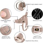 Plutus Pet No Pull Dog Harness for Medium Sized Dog, Breathable Mesh Padded | Ad... - Image 3