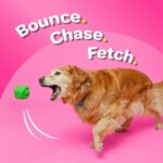 Hartz DuraPlay Bacon Scented Dog Toys, Small (Assorted Color) - Image 5