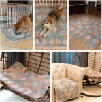 nunubaby Washable Pee Pads for Dogs, Stylish, Non-Slip and Leak-Proof Pee Pads. ... - Image 8