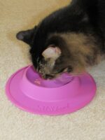 Pet Food and Water Bowl for Cats, Toy Breed Dogs, Bearded Dragons, Turtles, and ... - Image 3