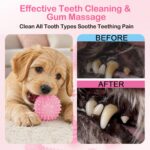 Puppy Toys, 6 Pack Dog Chew Toys for Puppy, Cute Pink Small Dog Toys, Puppy Teet... - Image 5