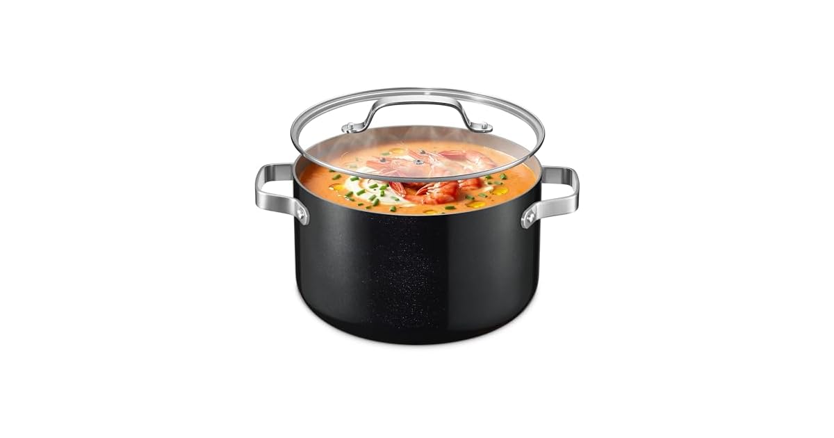 8.5QT Bakken Ceramic Coated Stock Pot with Lid only $35.13