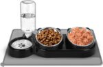 Cat Food and Water Bowl Set, Stainless Steel Raised Cat Bowls with Automatic Wat... - Image 2