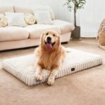 Dog Beds for Large Sized Dog, Orthopedic Pet Bed with Waterproof Lining, Soft Sh... - Image 2