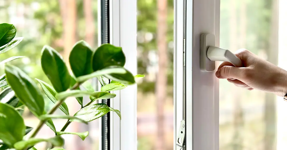 How to Improve Indoor Air Quality