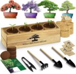 LUOJIBIE Bonsai Tree Kit, Bonsai Tree Starter Growing Kit, Unique Birthday Gifts... - Image 2