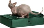 NOAH & PAW Small Dog Bed, 20x15x6.5 Inch, Cat Bed for Indoor Cats, Orthopedic Eg... - Image 2