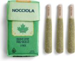 Nocciola 3 Pack Catnip Toys for Cats, Funny Cat Toys Filled with 100% Pure Organ... - Image 2