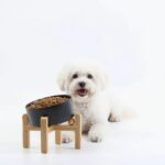 Petygooing Black Raised/Elevated 15°Slanted Ceramic Dog Bowl for Small Breeds,Ti... - Image 2