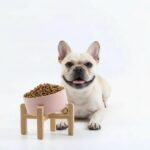 Petygooing Khaki Raised/Elevated 15°Slanted Ceramic Dog Bowl for Small Breeds,Ti... - Image 2
