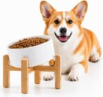 Petygooing White Raised/Elevated 15°Slanted Ceramic Dog Bowl for Small Breeds,Ti... - Image 2