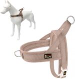 Plutus Pet No Pull Dog Harness for Medium Sized Dog, Breathable Mesh Padded | Ad... - Image 2