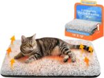WanpeeGoo Self Warming Cat Bed, Heated Cat Bed, 2.0 Upgraded Thermal Foil Heatin... - Image 2